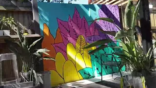 Jungle Leaves Timelapse