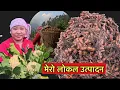 Lagu वर्षैभरी पैसो बच्ने भयो, यस्तो राम्रो फलेसी नि! village life\\local harvesting time\\