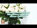 Download Lagu RELA - SHANNA SHANNON (COVER BY FADHILAH INTAN \u0026 FABIO ASHER) | COVER LIRIK
