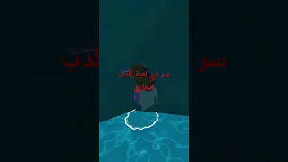 سر في لعبة الدب الخارق 