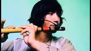 دلم بسیار تنگ است توله بسیار زیبا نور محمد فدایی 