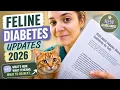 Cat Diabetes Diagnosis What to Do Next Vet Guide to Feline Diabetes