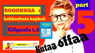 BARNOOTA HERREGAA KUTAA 6FFAA BOQONNAA 1 MAALUMMAA LAKKOOFSOTA KOPHXII PART 5 