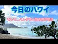 Download Lagu [Hawaii Today] Hawaii Today And after a night at the Halekulani, I wandered around in the morning...