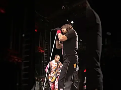 Pinkpop 2006, Landgraaf 🇳🇱