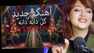 این آهنگ همونیه که دلم میخاست گل دانه دانه 