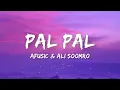Lagu Pal Pal - Afusic \u0026 Ali Soomro (Lyrics)