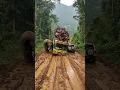 Bus Penuh Penumpang Hampir Terguling di Jalanan Lumpur Saat Dihadang Gajah Liar!