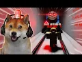 Download Lagu JANGAN PERNAH MASUK LORONG KERETA INI!!! - Roblox Indonesia