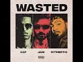 WASTED
