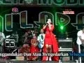 Download Lagu New Pallapa Aku Rapopo
