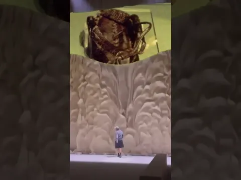 নবীজির জুতা মোবারক