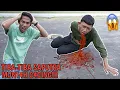 Download Lagu Saputra Munt4h C4cing Gara Gara Makan Apa ini?? | Mikael Family