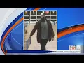 Taylorville Police search for theft suspect