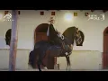 El Mejor Caballo - Yeison Jimenez