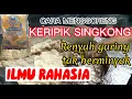Download Lagu IDE USAHA CARA MEMBUAT KERIPIK SINGKONG RENYAH GURIH,CASSAVA CHIPS#ideusaha #idebisnis #idejualan