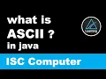 What is ASCII