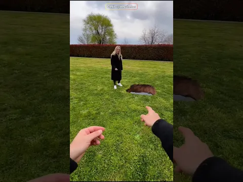 #bts
