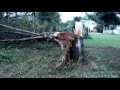 16 Macomb IL Shelf Cloud Damage