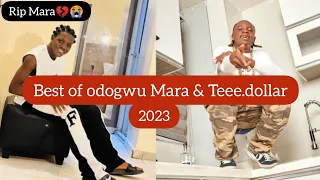 Best Of MARA Dance Of Late Odogwu Mara Teee Dollar Who K Lled The Mara Legwork 