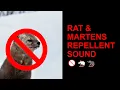 Download Lagu ⚠️ High Pitch Wall Penetration, Mouse, Rat, Mice Ultra Sounic Repellent Sound 10 HOURS ( WORKING! )