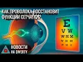 Download Lagu Сетка для сетчатки. Противораковый сахар. Трапеза зауропода. Клешни уховёрток. Новости QWERTY №343
