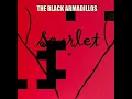 The Black Armadillos - Scarlet