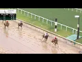 Colonial Rose WINS on 2025 at Churchill Downs