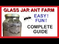 Easy Glass Jar Ant Farm - How to Make