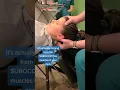 MIGRAINES are not coming from your head it s the SUBOCCIPITAL muscles in your NECK