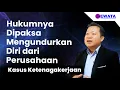 Lagu Hukumnya Dipaksa Mengundurkan Diri dari Perusahaan || BudiRewata_Channel