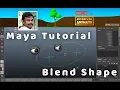 Maya Tutorial Build Controllable Eye and Mouth Rigs with Blend Shapes