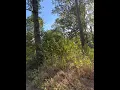 NEW LISTING R 1 155685 Miles Road Lufkin TX 75901