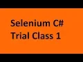 Selenium C Trial Class 1