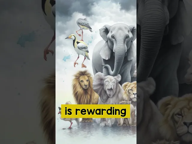 ⁣Are Cats as Pets Haram in Islam?