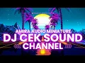 Lagu DJ CEK SOUND V2 By Amira audio miniature