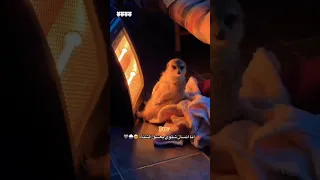 رجعت الشتوية محبين الشتاء منشن لمحب الشتاء حالات اكسبلور حب حالات واتس 