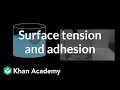 Download Lagu Surface Tension and Adhesion | Fluids | Physics | Khan Academy