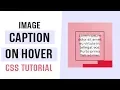 Image Caption on Hover Image Hover Effects CSS CSS Tutorial