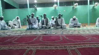 اولاد الشيخ الجعلي مدحه بالدوام يامسلمين صلوا دندنها