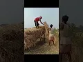 Download Lagu Bhalo Dhan Halo E Bachhar ||Pradhan G Vlogs