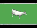 VTK Example - ReadOBJ