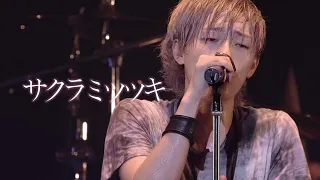 spyair sakura mitsutsuki 