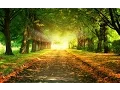 Download Lagu The Best of Kevin Kern - 4 Hour Golden Collection - Relaxing New Age Piano for Sleep and Study