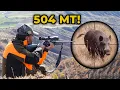 IMPOSSIBLE SHOT! Wild Boar Shot at 504 Meters, Best Wild Boar Hunts!
