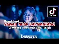 DJ Minang SAWAH INDAK BAPAMATANG(Apo Salah Denai Adiak Kanduang)Terbaru Viral TikTok Putra Andesta
