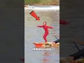 Download Lagu Indonesian boat race dance
