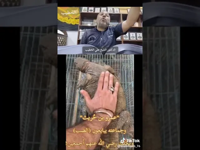 ⁣جماعة يحشرون يوم القيامة و إمامهم الضب ... بغضا لأميرالمؤمنين علي ابن أبي طالب عليه السلام