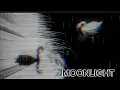 Download Lagu MOONLIGHT - SWAN LAKE