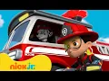 Download Lagu PAW Patrol | PAW Patrol ultieme reddingsmissies! Met Chase, Tracker \u0026 Marshall | Nick Jr. Nederlands